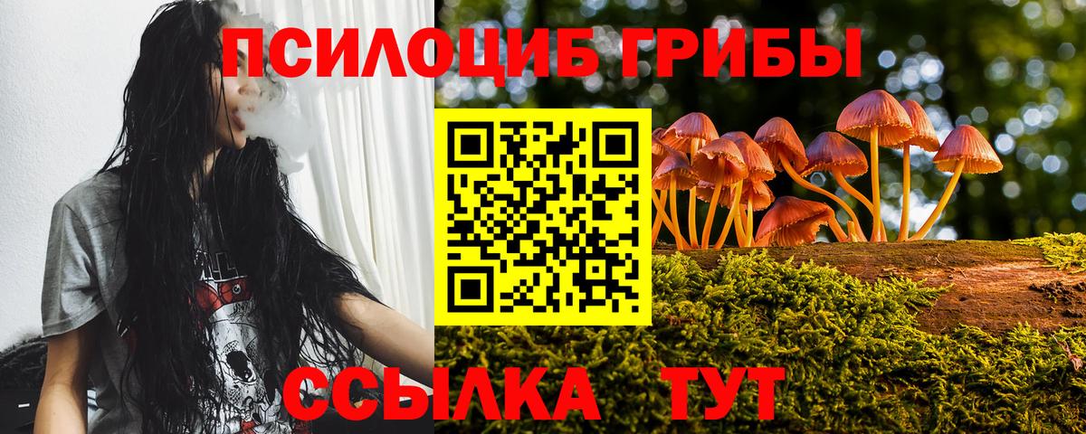 Псилоцибиновые грибы Cubensis Тулун