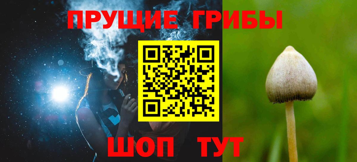 Псилоцибиновые грибы мицелий  Псилоцибиновые грибы GOLDEN TEACHER  Тулун  Вход с VPN 